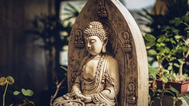 A Buddhist statue surrounded by indoor houseplants.