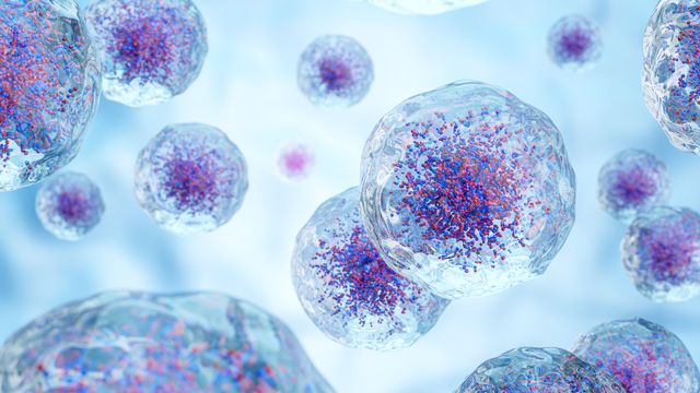 3D illustration of human cells highlighting internal structures for cell biology research.