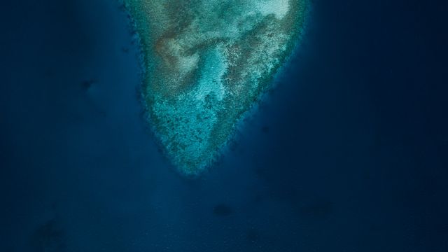The top of a coral bed under a shallow sea, seen from above. Different shades of blue. 