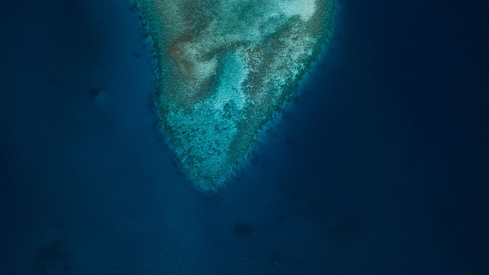 The top of a coral bed under a shallow sea, seen from above. Different shades of blue.