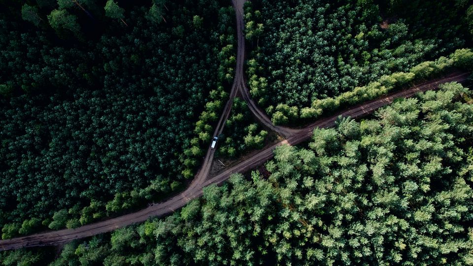 An aerial photo of a car driving down a road through a lush green forest.
