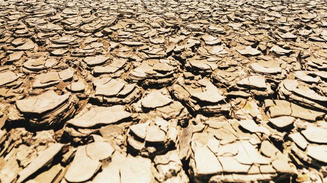 Freshwater Is Disappearing at Alarming Rates
