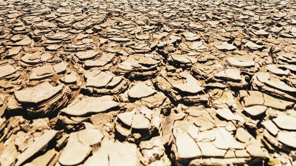 Cracked, dry earth in a desert.
