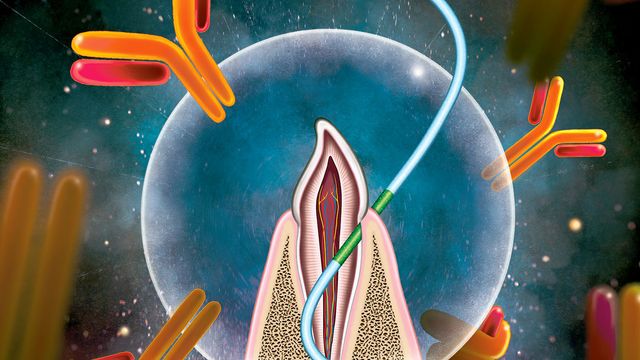 Floss between a tooth and the gum in a bubble surrounded by antibodies, representing a new method for vaccine delivery.