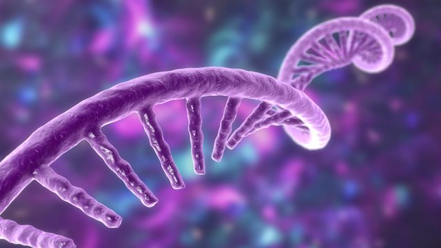 Close-up 3D illustration of a purple RNA strand on a blurred colorful background.