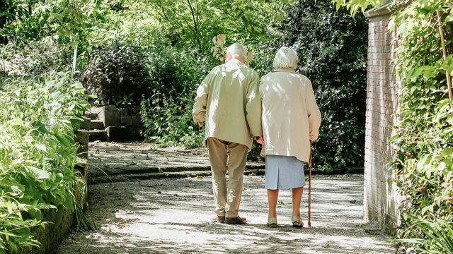 Two elderly people stand/walk on a path among bushes and walls.
