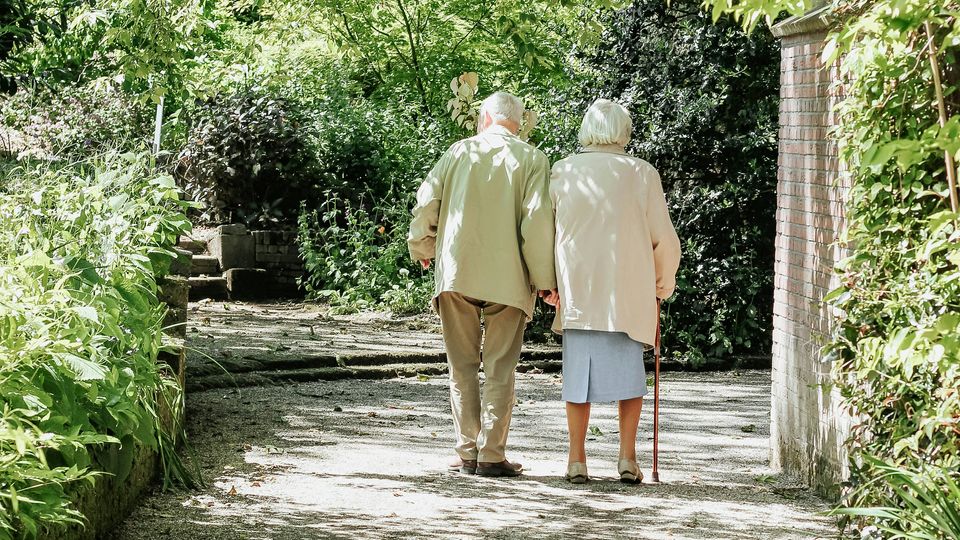 Two elderly people stand/walk on a path among bushes and walls.