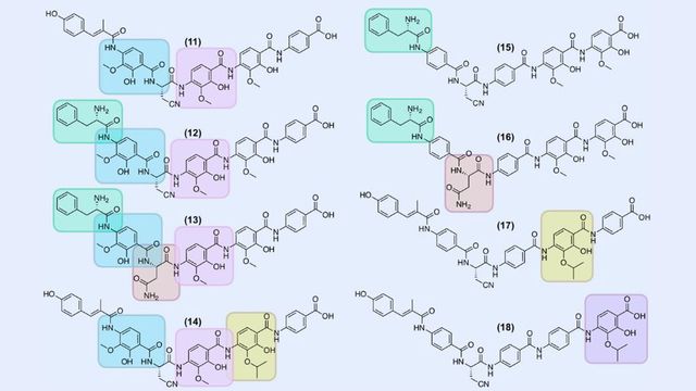 Scientists looked at variants of the antibiotic albicidin to identify structural differences (colored boxes) that may be associated with reduced susceptibility to resistance.