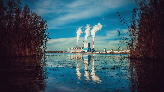 Researchers Turn E. coli Bacteria Into Living Pollution Detectors