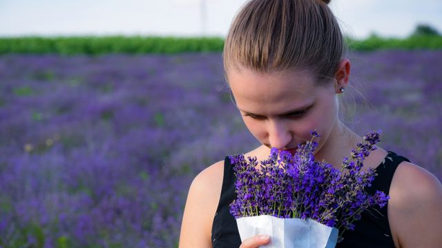 A woman standing in a lavender field, smelling a bouquet of lavender.