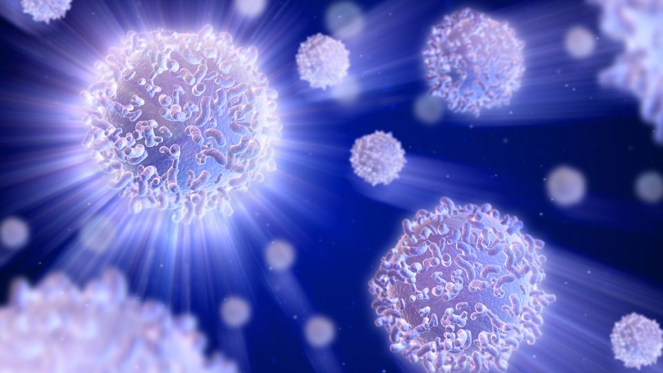 3D illustration of T-cells in blue light, representing the early immune system response.