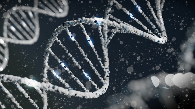 A digital illustration of a white DNA double helix floating in front of a dark background