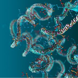 3D structure of a protein molecule, which must be carefully purified before use as a biotherapeutic. 