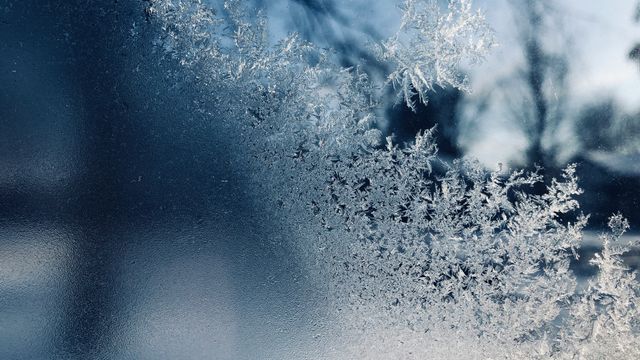 Ice forming on a window pane.