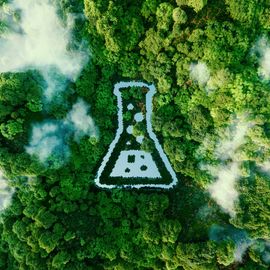 A digital illustration showing an aerial view of  aforest, with the clear outline of a white conical flask at its center. 