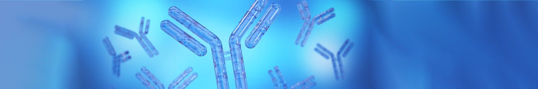 3D illustration of antibodies on a blue background, representing innovation and efficiency in continuous antibody manufacturing. 