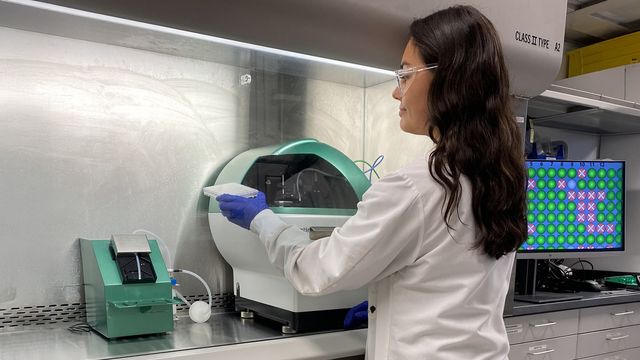 Scientist working with lab equipment and microplate for CHO cell line development in biopharmaceutical research.