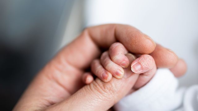 A close up of an adult hand holding a newborn babies hand.