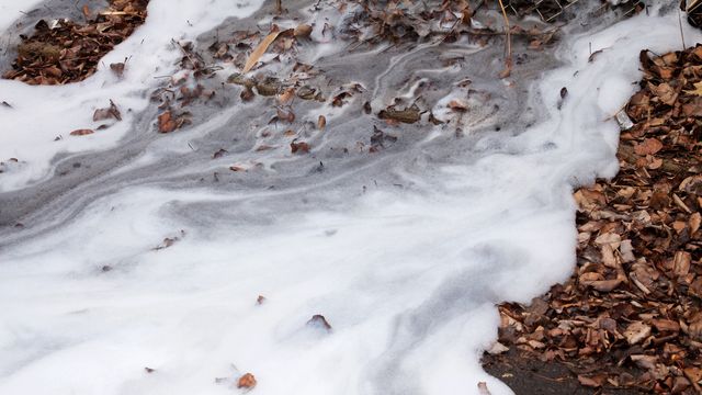 Foamy waves lapping at a pile of brown leaves and wood near the edge of the water.