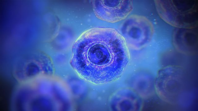 A cell with a nucleus and rippling proteins within it, illustrating regulators of autophagy.