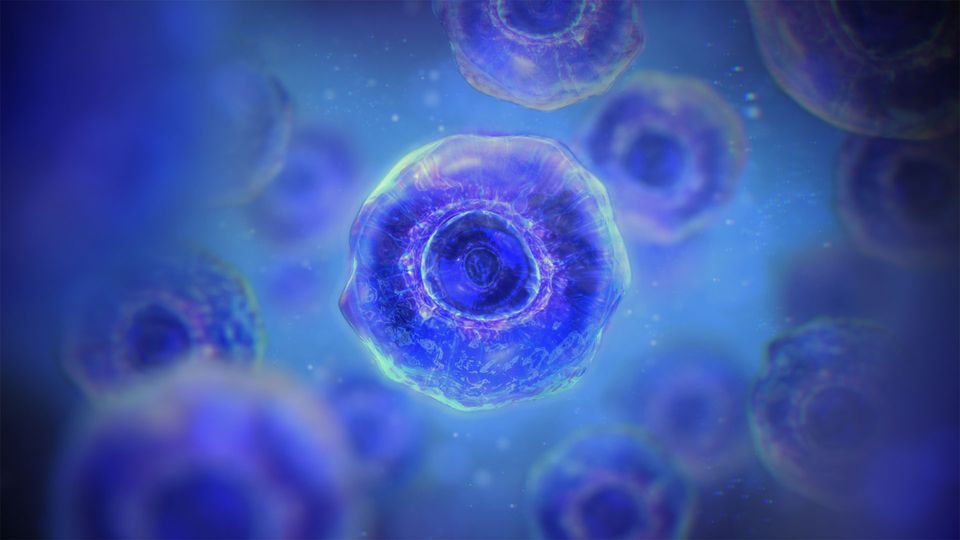 A cell with a nucleus and rippling proteins within it, illustrating regulators of autophagy.