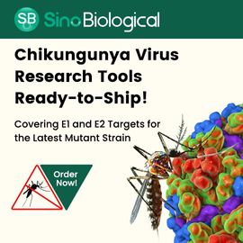Sino Biological ad for Chikungunya virus research tools featuring colorful virus models, mosquito image, and 'Order Now!' sign 