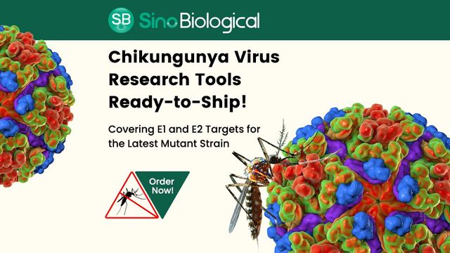 Sino Biological ad for Chikungunya virus research tools featuring colorful virus models, mosquito image, and 'Order Now!' sign