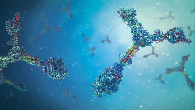 Colourful 3D antibody structures on a blue background, representing advanced tools to accelerate antibody internalization studies. 