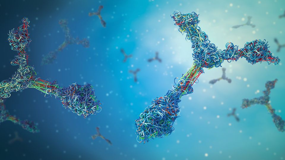 Colourful 3D antibody structures on a blue background, representing advanced tools to accelerate antibody internalization studies.