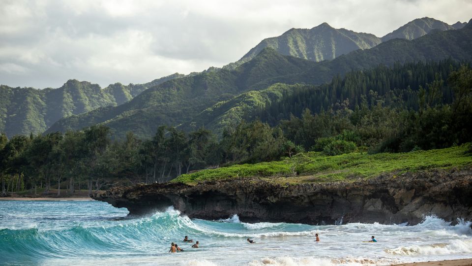 People enjoying the surf of Hawaii, grass, forest and mountains in the background.