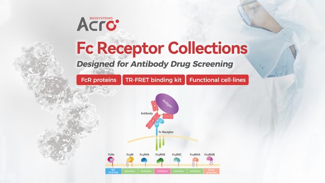 ACROBiosystems Fc Receptor Collections for antibody drug screening, featuring FcRn and Fc gamma receptor proteins and tools.