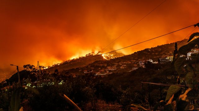 Global Temperatures, Greenhouses Gases and Sea Levels All Reached Record Levels in 2024