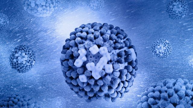 An influenza virion with surface proteins visible.