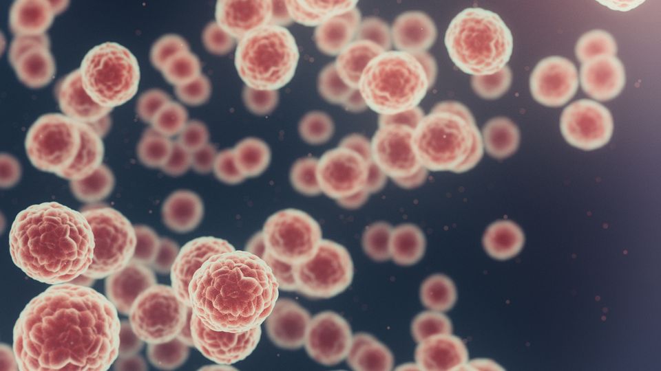 Microscopic view of multiplying cancer cells in a dark fluid environment.