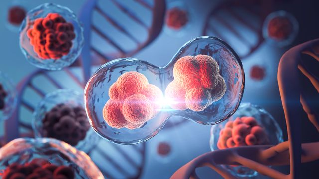 Illustration of cell division and regeneration, symbolizing cellular repair and wound healing. 