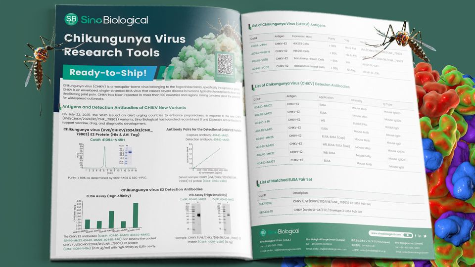 Open magazine spread on Chikungunya virus research tools with mosquitoes and molecular graphics in the background