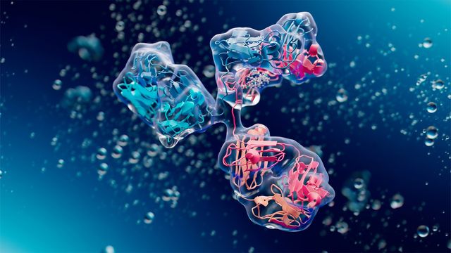 3D visualization of an antibody structure floating in a fluid environment.