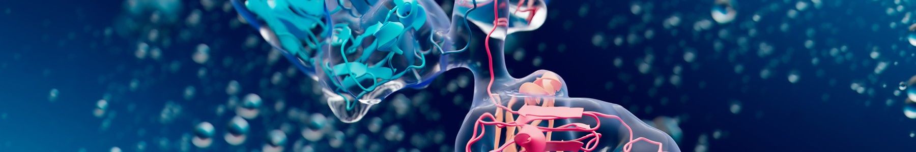 3D visualization of an antibody structure floating in a fluid environment. 