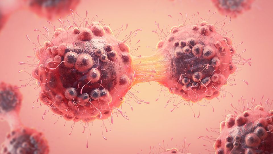 Microscopic 3D rendering of cancer cells dividing, representing tumor growth and disease progression.