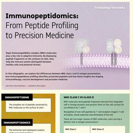 Infographic explaining immunopeptidomics and its role in precision medicine. Text reads: Immunopeptidomics: From Peptide Profiling to Precision Medicine 