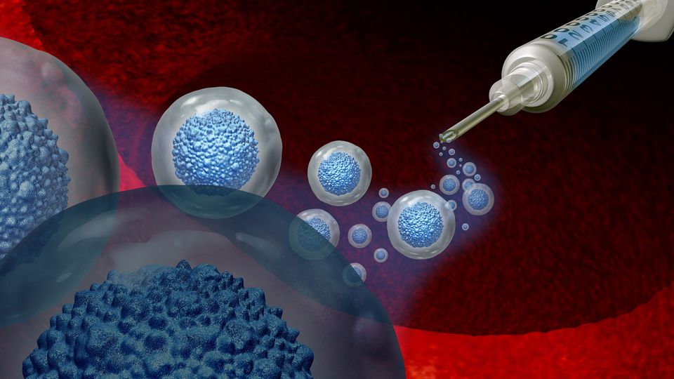 Illustration of a syringe injecting cells into the bloodstream, representing cell therapy.