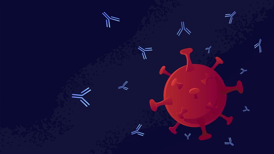Illustration of monoclonal antibodies targeting a virus particle for immune defense.