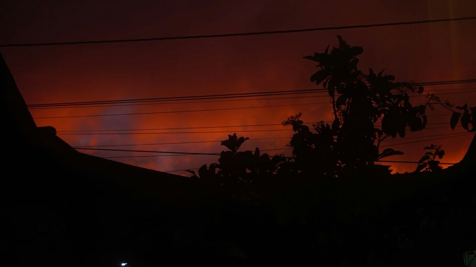 The silhouette of palm trees and telephone wires set against orange clouds. 