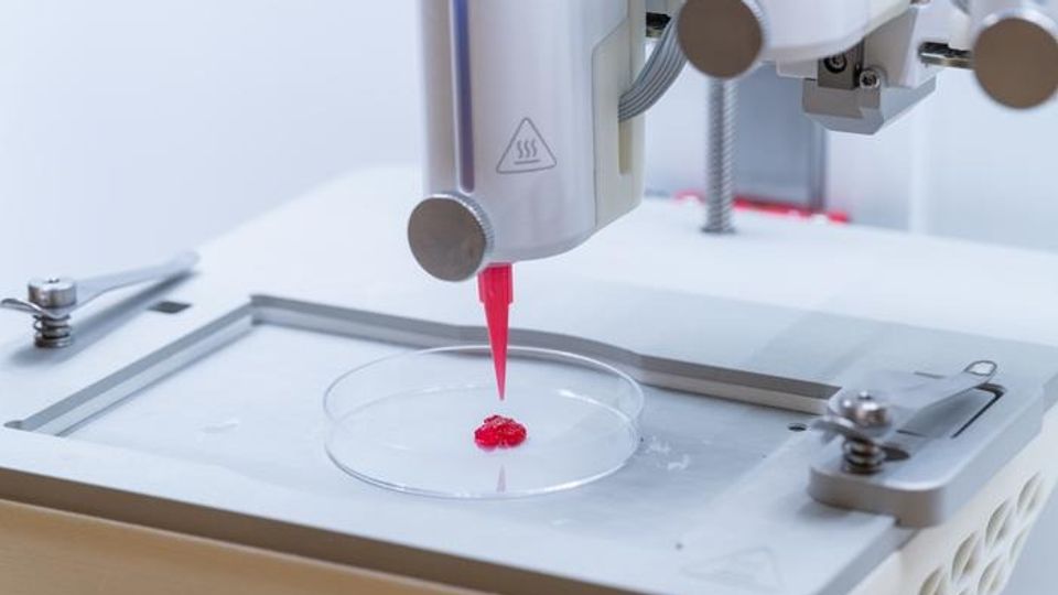 A 3D printer printing a small red puck of the new hydrogel material.