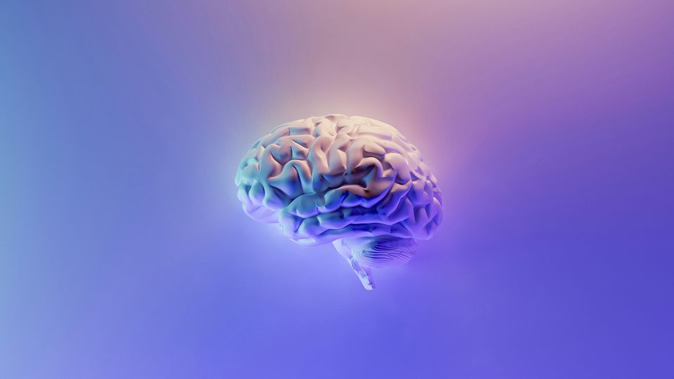 A model brain floating in front of a purple and yellow glowing background.