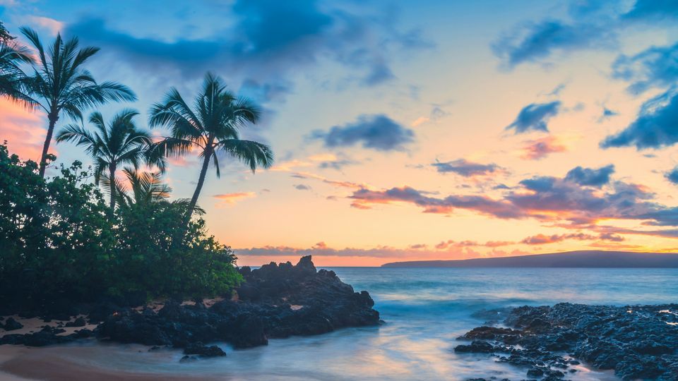 Hawaiian palm trees, rocks and sea, dusk.