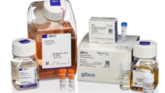 Thermo Fisher Gibco Expi293 PRO kit designed for efficient transient protein expression in HEK293 cells