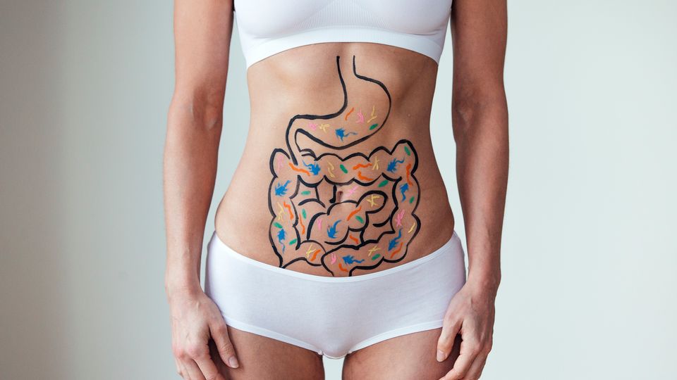 A woman wearing a white bra and underwear, with a map of the human gut drawn onto her stomach in black marker. 
