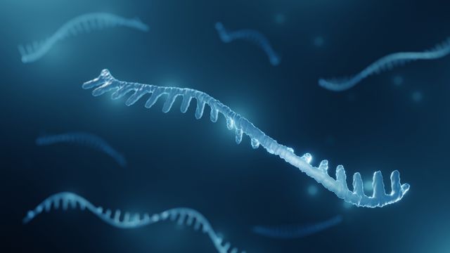 Single oligonucleotide strands in blue against a black background. 