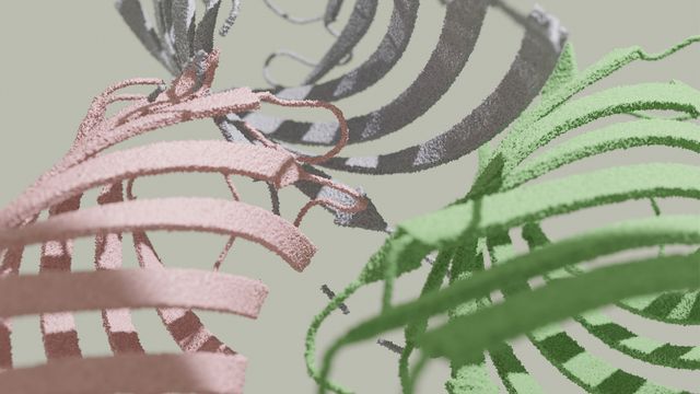 Close up of a visualization of a protein molecule showing the directionality of the individual amino acid strands. 